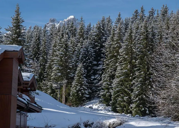 1850 - 4 Pers, Skis Aux Pieds, Wifi, Parking - Fr-1-631-220 Courchevel